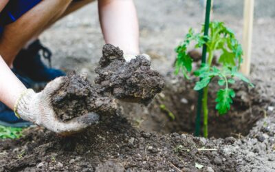 Finding Your Soil Voice