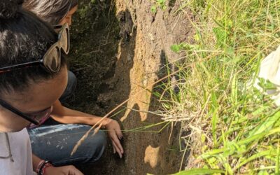 Soil Talk for Black2Nature at Camp Langaford 23rd-25th July